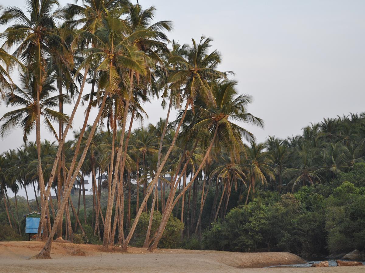 Tutti Garden Bungalows Hotell Mormugao Exteriör bild