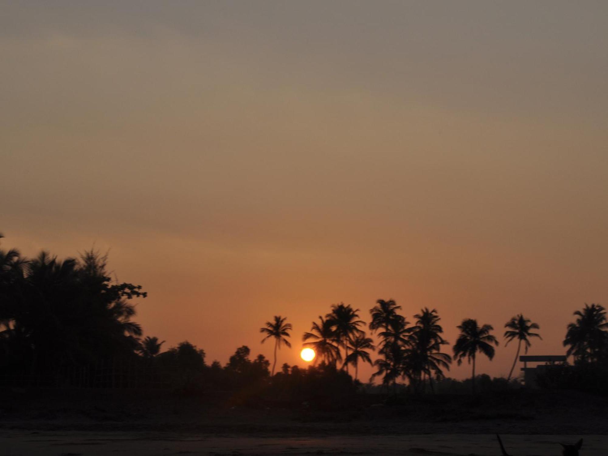 Tutti Garden Bungalows Hotell Mormugao Exteriör bild